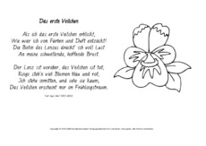 Das-erste-Veilchen-Ebert-ausmalen.pdf